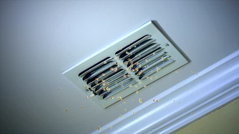Ventilation Cleaning Services in Mineral Springs, NC