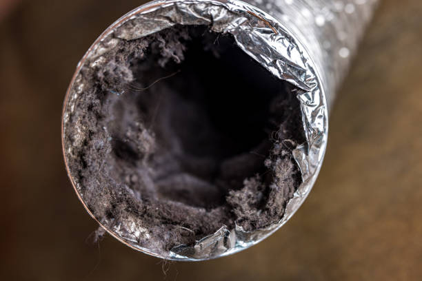 Best Affordable Air Duct Cleaning  in Mineral Springs, NC